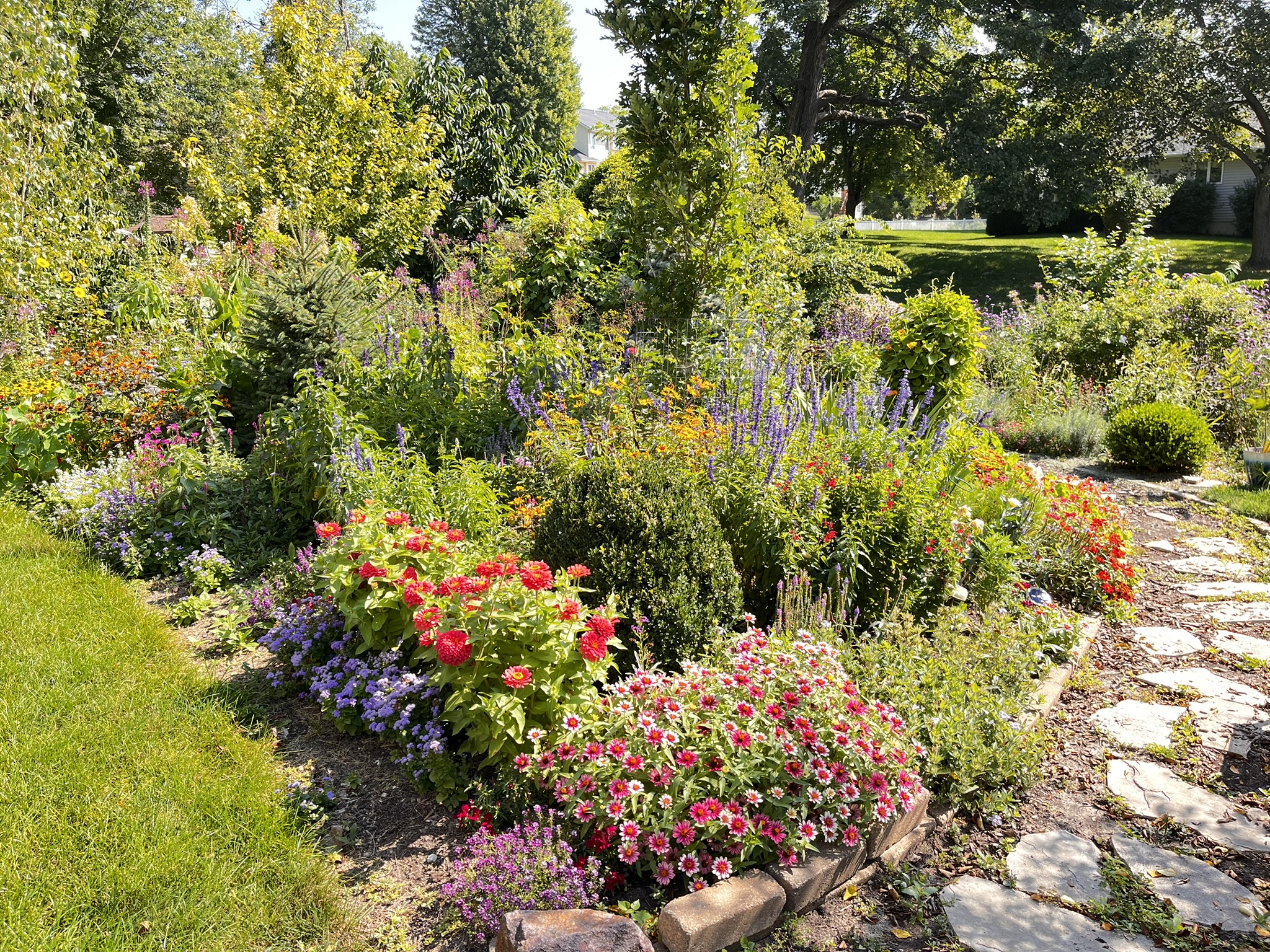 Mixed wildflower meadow with yellow blooms